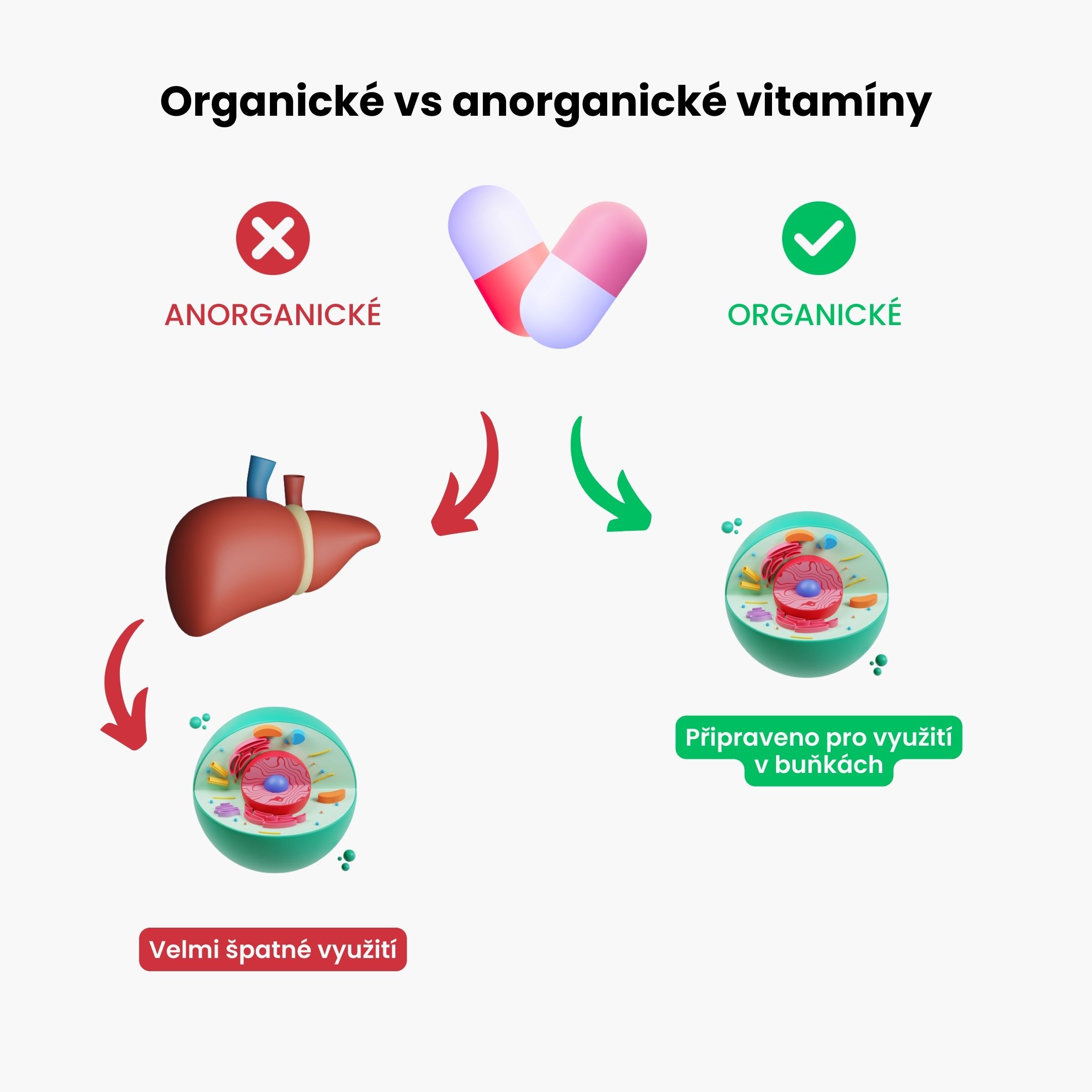 Prenatal organicke vitaminy